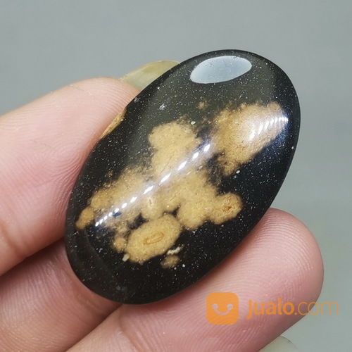 Fosil Batu Galih Kelor Coklat Hitam Asli