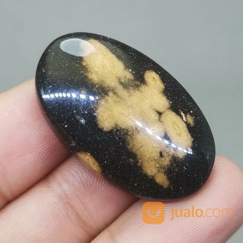 Fosil Batu Galih Kelor Coklat Hitam Asli