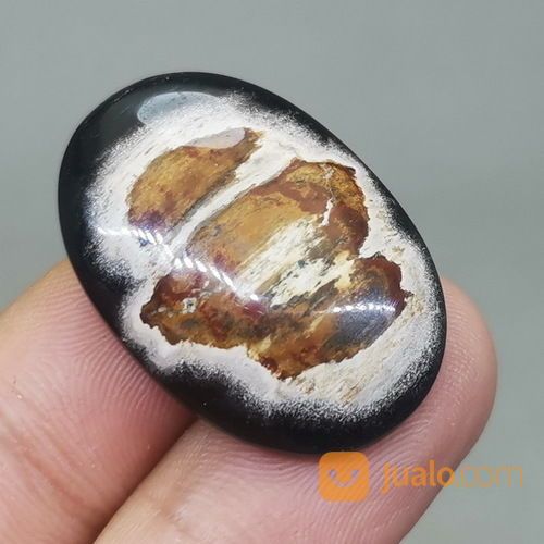 Batu Fosil Galih Kelor Hitam Coklat Asli