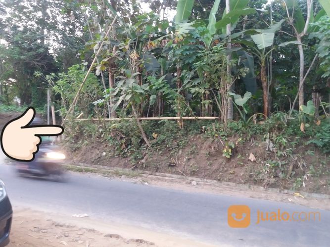 Tanah Pekarangan Murah Magelang Di Lingkungan Perumahan