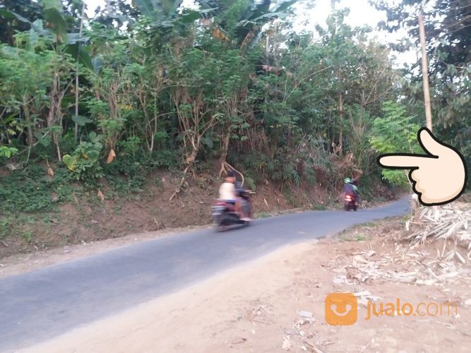 Tanah Pekarangan Murah Magelang Di Lingkungan Perumahan