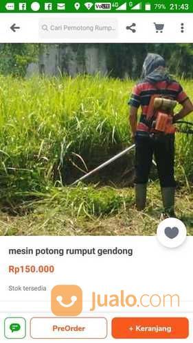 Jasa Potong Rumput Borongan Per Meter Persegi Seribu Rupiah Wa 085641290679