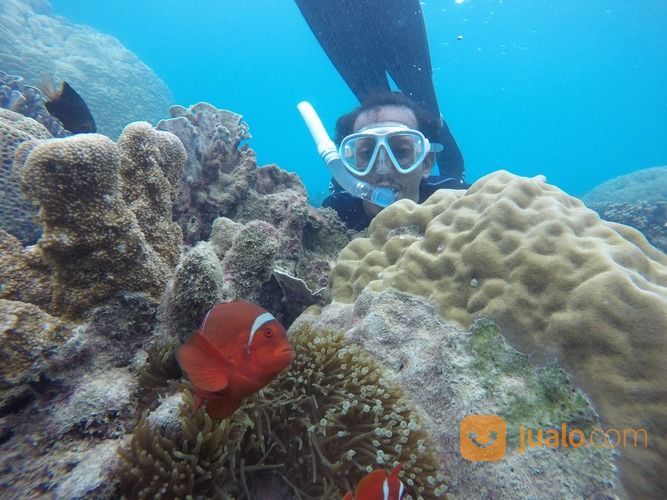 Open Trip Pulau Tunda