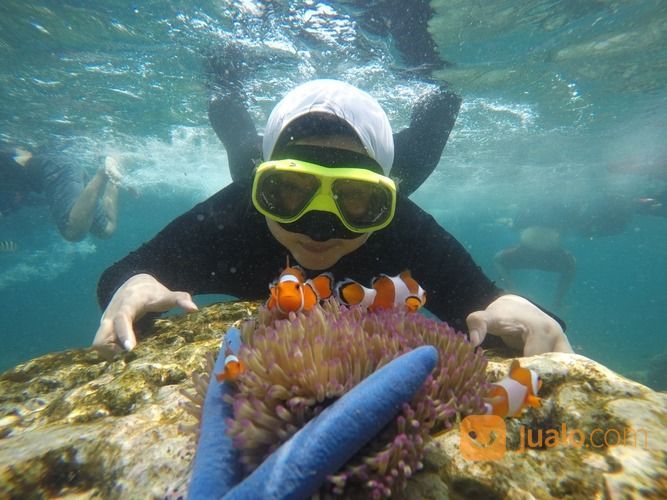 Open Trip Pulau Pari Kepulauan Seribu