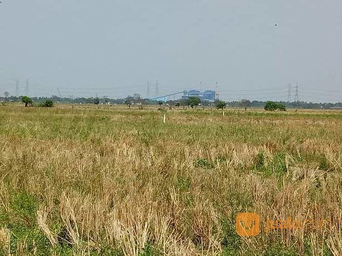 TANAH 450 HEKTAR - SUKATENANG KAB. BEKASI