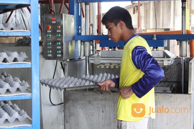 #Mesin Egg Tray#Mesin Pembuat Tempat Telur#Mesin Rak Telur Karton Kardus Kertas#