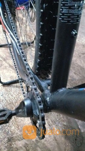 Polygon Xtrada 5 2017