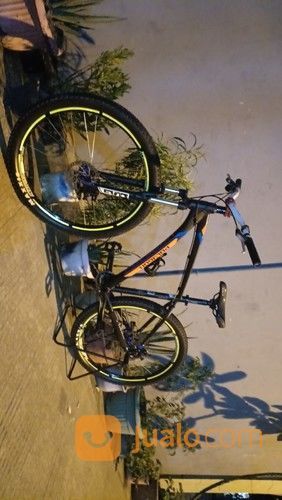 Polygon Xtrada 5 2017