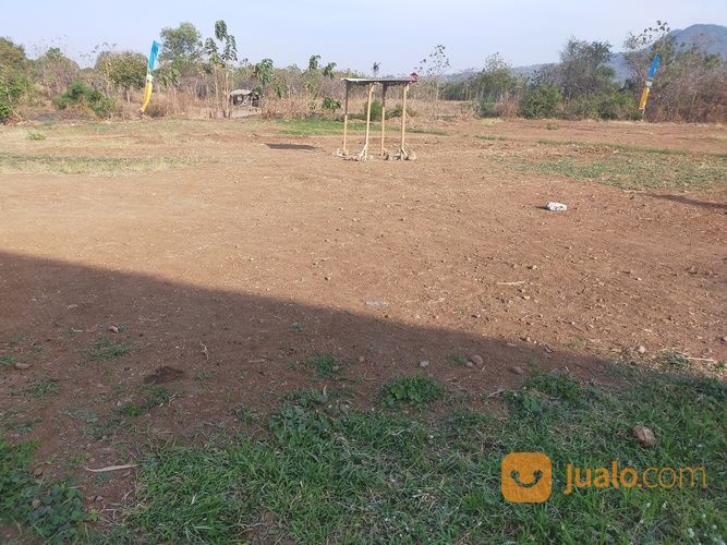 Perumahan Subsidi Bukit Wonosari Ngoro