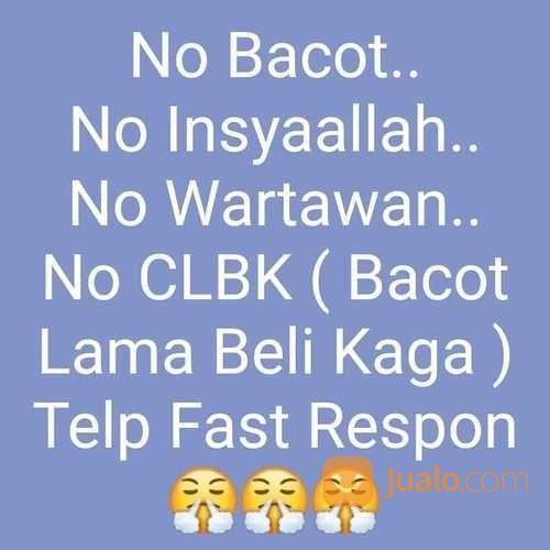 Ayam Tulak Jantan Remaja Mantap Murah Harganya