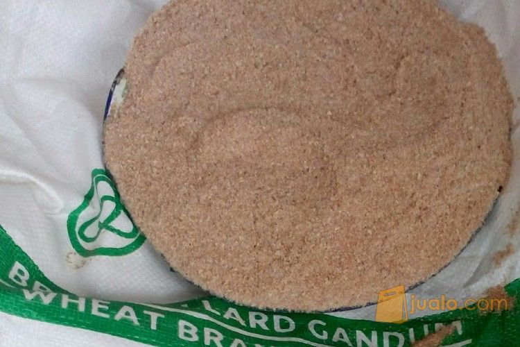 Pollard - Polar gandum - pakan ternak