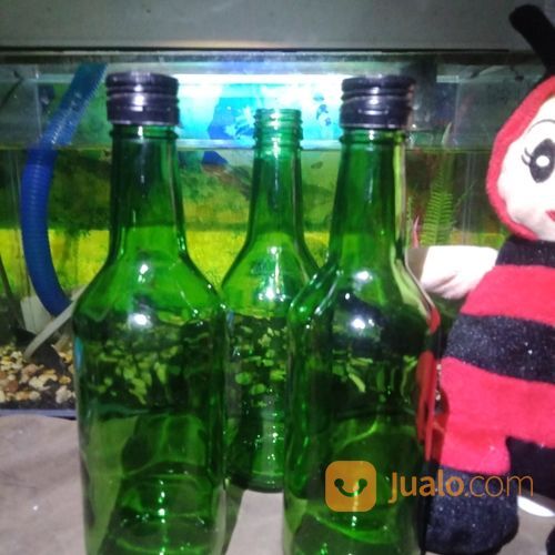 Botol Kaca Soju 300ml