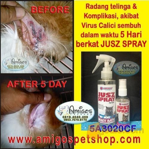 Obat jamur, kurap, demodex, scabbies, kutu, luka, Ring Worm, Borok, Kutu - Amigos Petshop Mksr