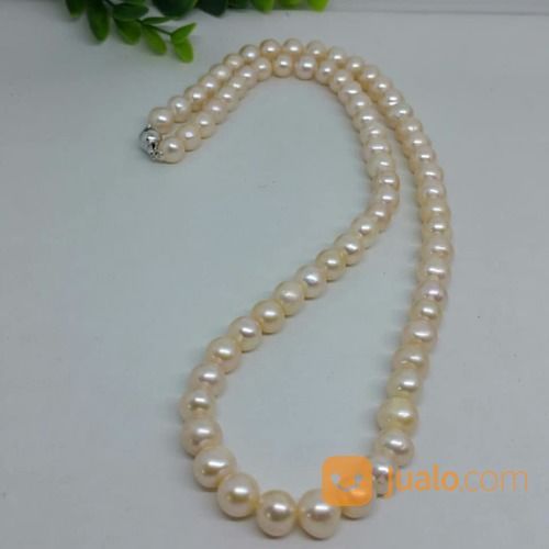 KALUNG MUTIARA AIR TAWAR SUPER, 60cm, KALUNG MUTIARA LOMBOK, MUTIARA ASLI