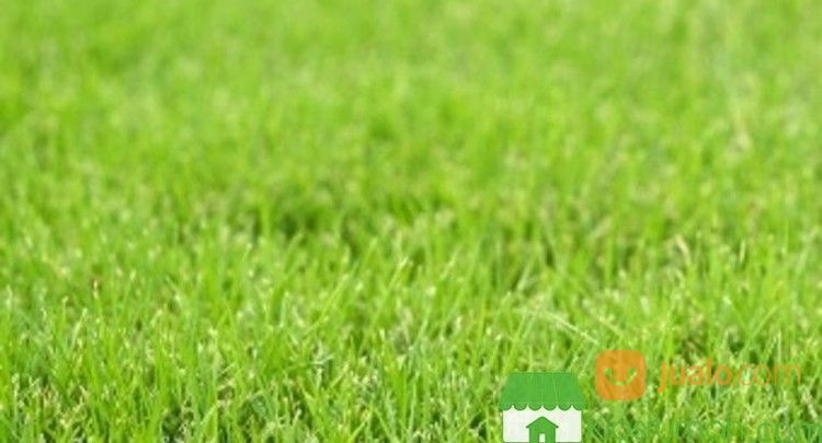 FS Tanah Villa Taman Dayu Langit Biru