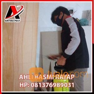 Call : 081376989031 Jasa Pembasmi Rayap Di Medan