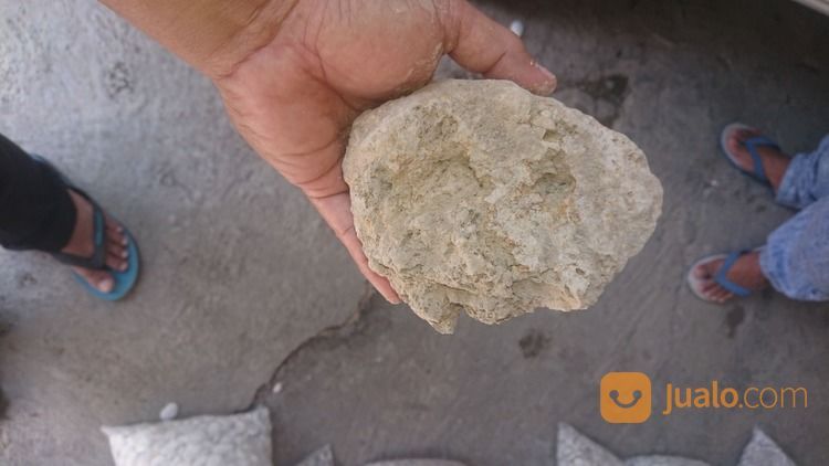 Batu Apung Murah Semarang