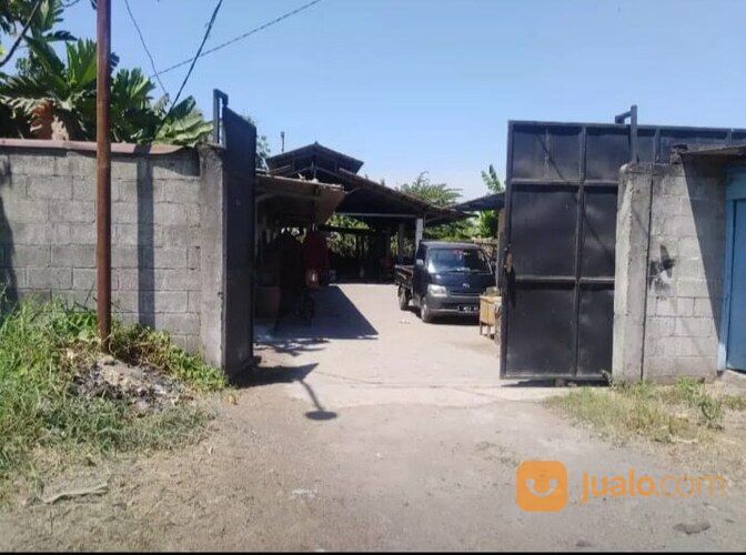 Pabrik Tahu Masih Aktif Desa Cangkringsari Sukodono Sidoarjo