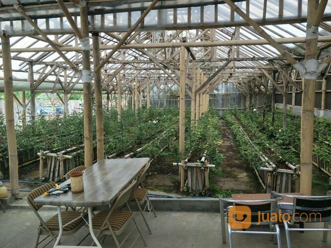 Perumahan Cisarua Lembang | Perumahan Syariah Bandung Barat | ROSE GARDEN