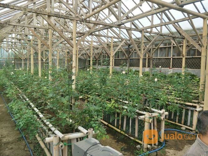 Perumahan Cisarua Lembang | Perumahan Syariah Bandung Barat | ROSE GARDEN