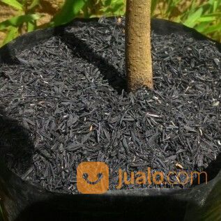 Media Tanam Arang Sekam / Sekam Bakar Padi Asli - Kualitas Unggul - Murah