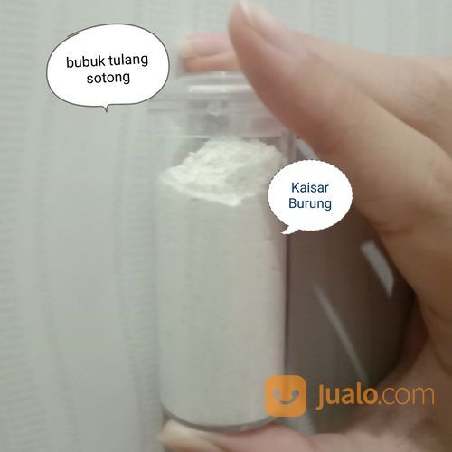 Serbuk Tepung Bubuk Kalsium Tulang Sotong Murni Kura Reptil Tortoise Gecko Kadal