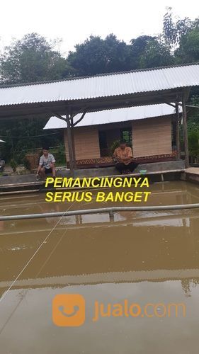 Empang Pemancingan Tak Jauh Dari Jembatan Area Tigaraksa Tangerang