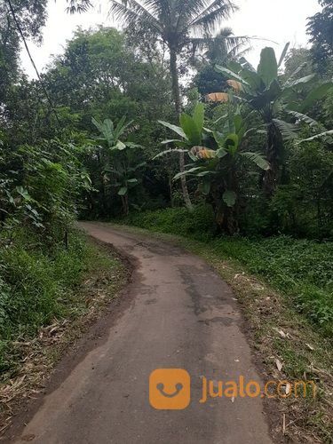Empang Pemancingan Tak Jauh Dari Jembatan Area Tigaraksa Tangerang