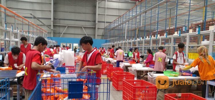 Lowongan Pekerjaan Packing