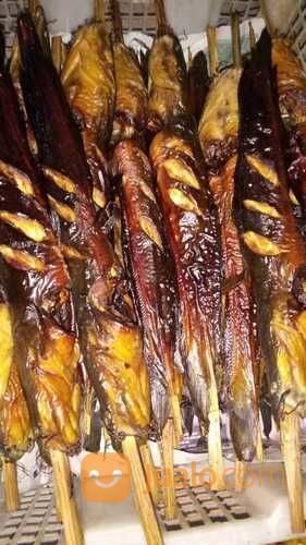 Lele Asap Harga Bijian Buat Bakulan Di Pasar