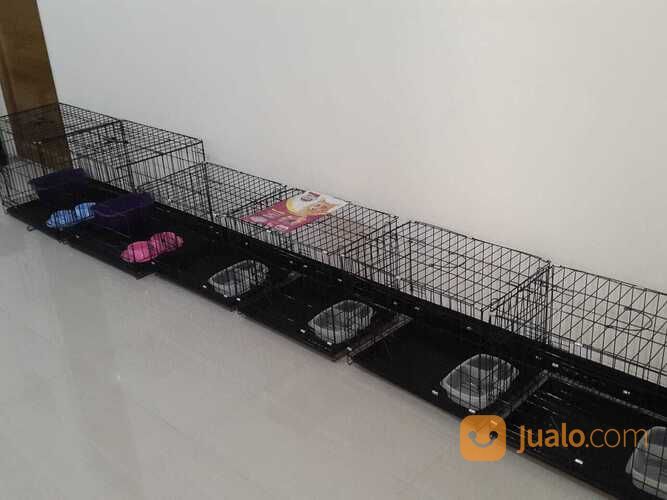 Penitipan / Penginapan Kucing Surabaya Timur PROMO