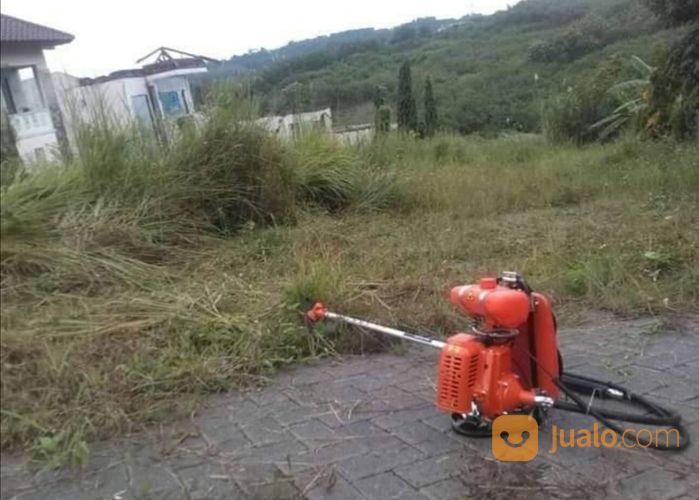 Jasa Potong Rumput Dll Di Serang Cilegon