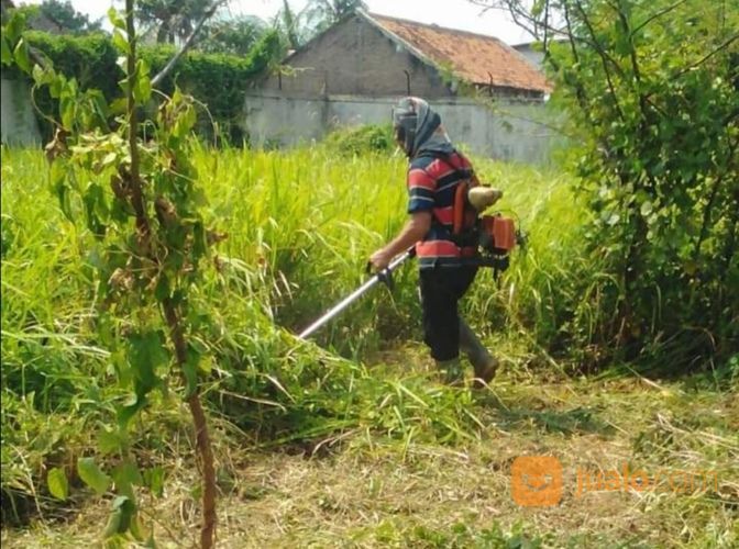 Jasa Potong Rumput Dll Di Serang Cilegon