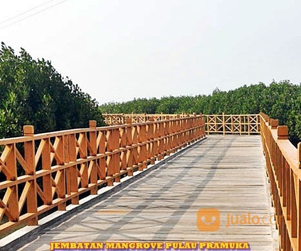 Wisata Pulau Pramuka Menanam Pohon Mangrove