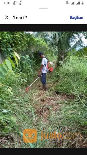 Jasa Tukang Potong Rumput Kota Bekasi wa 085771653019
