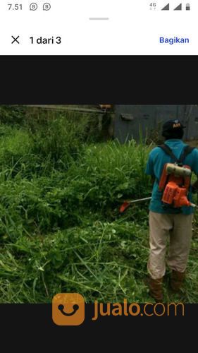 Jasa Potong Rumput Jakarta Wa 085641290679