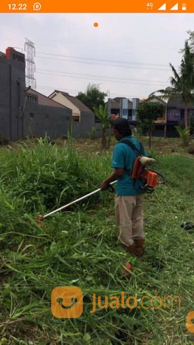 Jasa Potong Rumput Tangerang Wa 085641290679