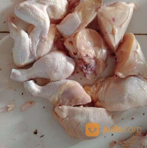 Ayam Potong Fresh Di Padalarang Dan Cimareme