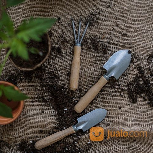 Jasa potong rumput- Boy