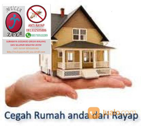 JASA PENGENDALIAN HAMA RAYAP DI PASURUAN