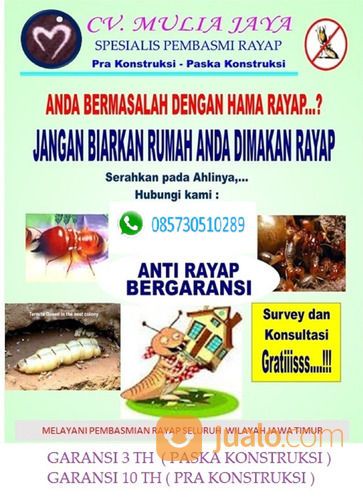 JASA PENGENDALIAN HAMA RAYAP DI PASURUAN