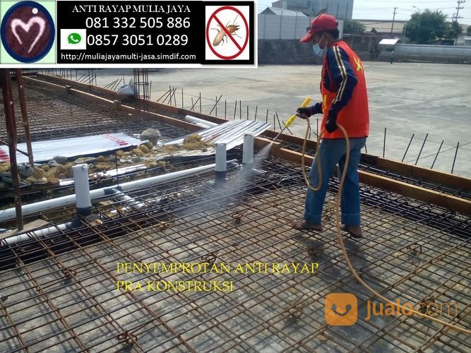 JASA PENGENDALIAN HAMA RAYAP DI PASURUAN