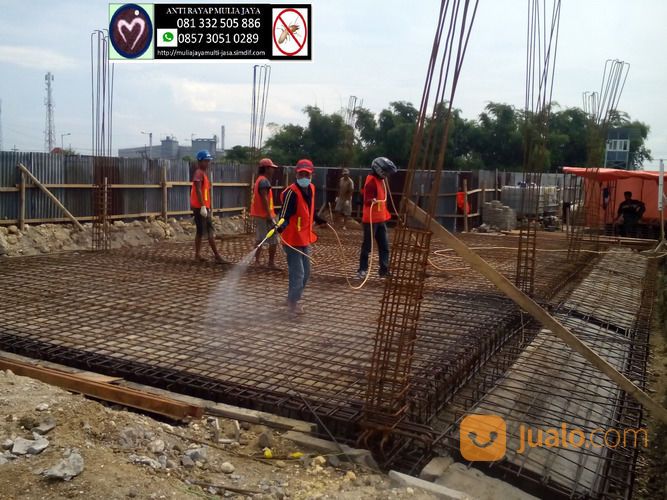 JASA PENGENDALIAN HAMA RAYAP DI PASURUAN