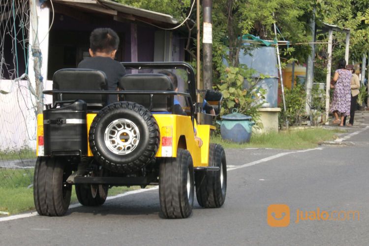Wa0813-3377-8466, Mini Jeep Hardtop Kab. Bondowoso