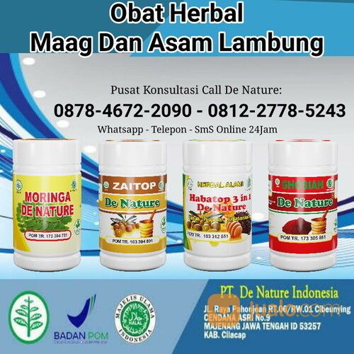 Obat Sakit Maag Kronis Maag Akut, Asam Lambung Naik, Ulu Hati Sakit Herbal 100%
