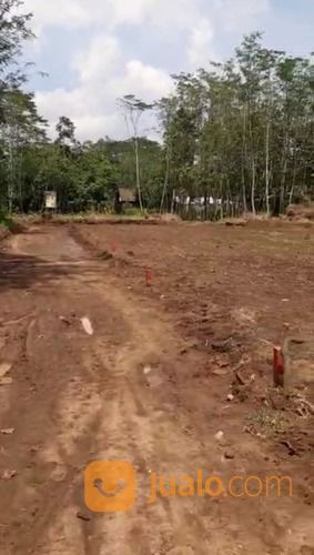 Tanah Kavling Senggreng Sumberpucung