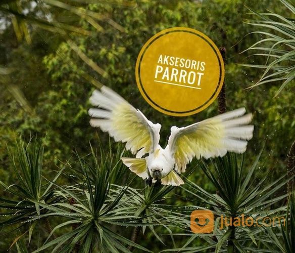 Harnes Burung Parrot