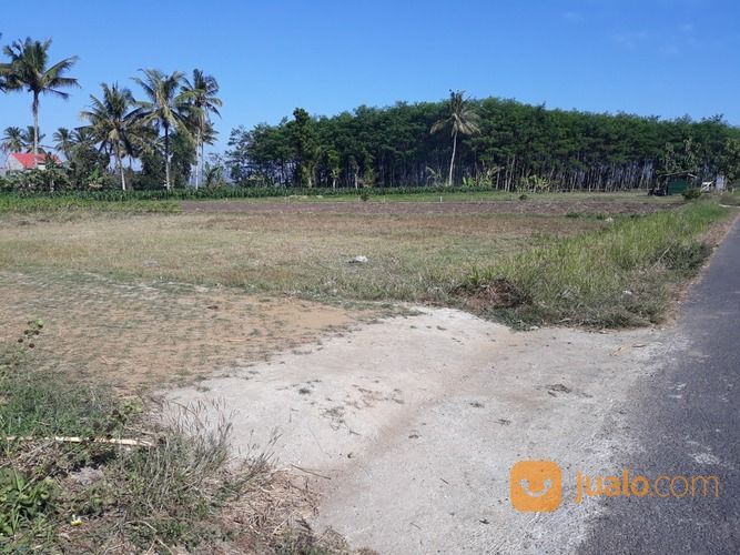 Tanah Kabling Suko Sumberpucung