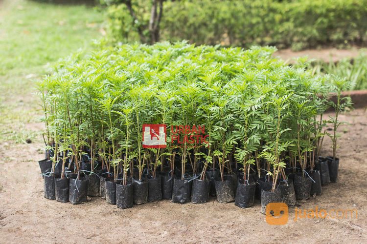 Plastik Polybag Kecil / Plastik Polybag Hitam Merk Urban Plastic