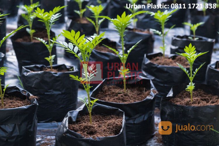 Plastik Polybag Terdekat / Harga Plastik Polybag Merk Urban Plastic